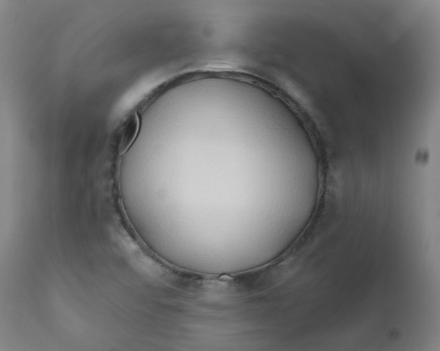 X0000112201456200909041306