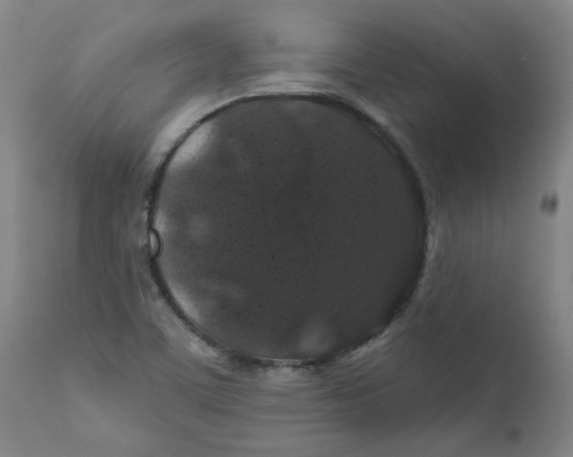 X0000112201459200909041305