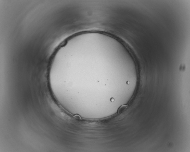 X0000112201460200909041305