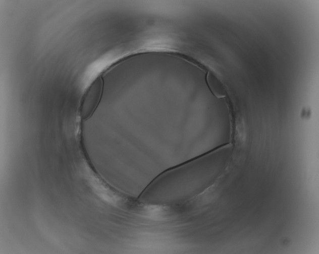 X0000112201461200909041305