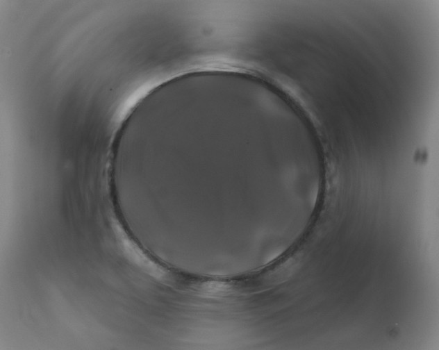 X0000112201463200909041305