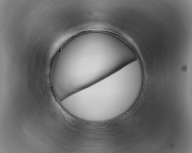 X0000112201464200909041305