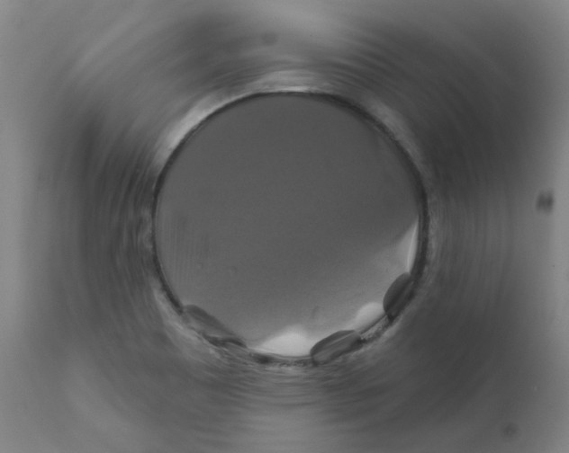 X0000112201465200909041305