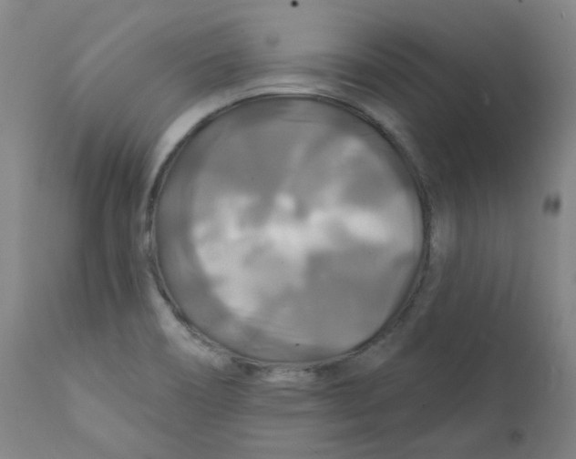 X0000112201466200909041305
