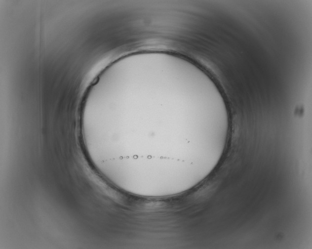 X0000112201467200909041305