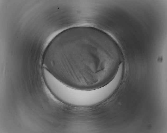 X0000112201468200909041305
