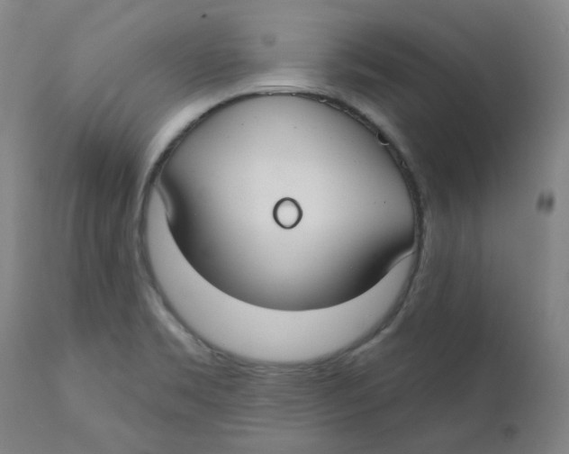 X0000112201469200909041305