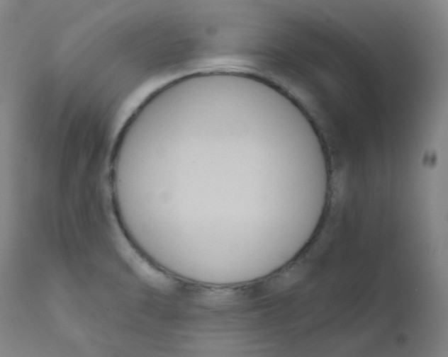 X0000112201470200909041305