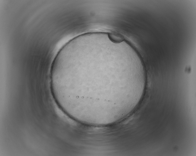 X0000112201471200909041305