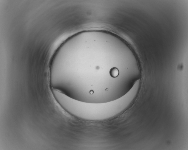 X0000112201472200909041305