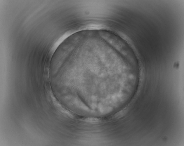 X0000112201473200909041305