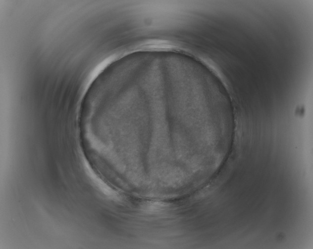 X0000112201475200909041305