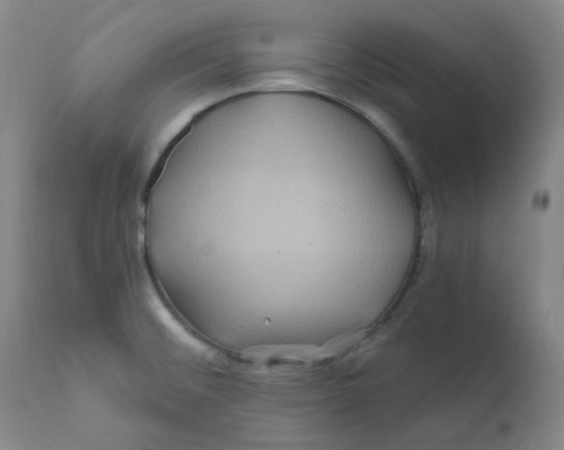 X0000112201476200909041305