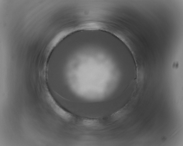 X0000112201477200909041305