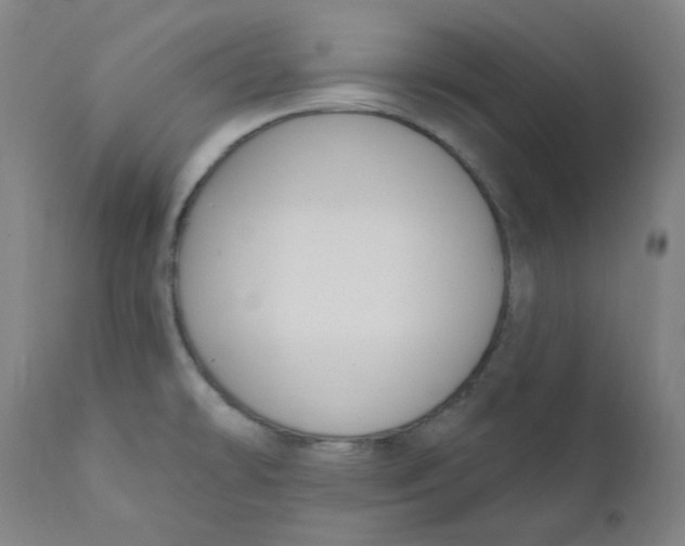 X0000112201478200909041305