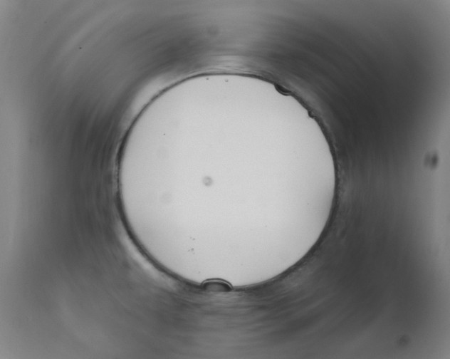 X0000112201479200909041305