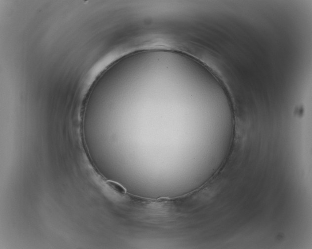 X0000112201480200909041305