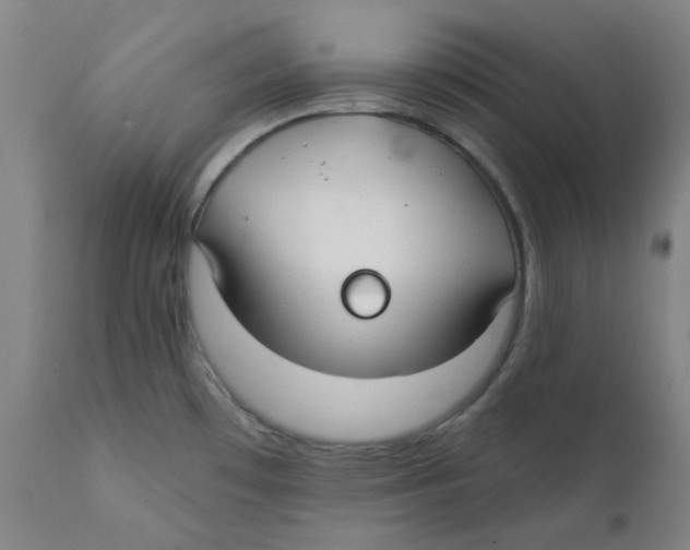 X0000112201481200909041305