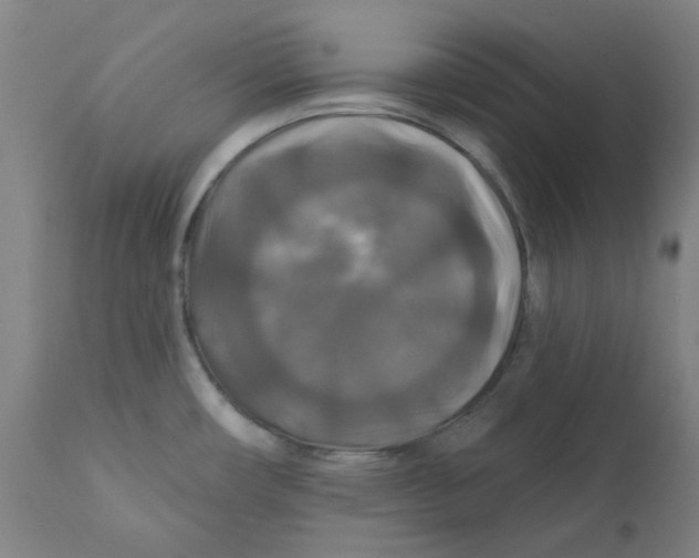 X0000112201482200909041305