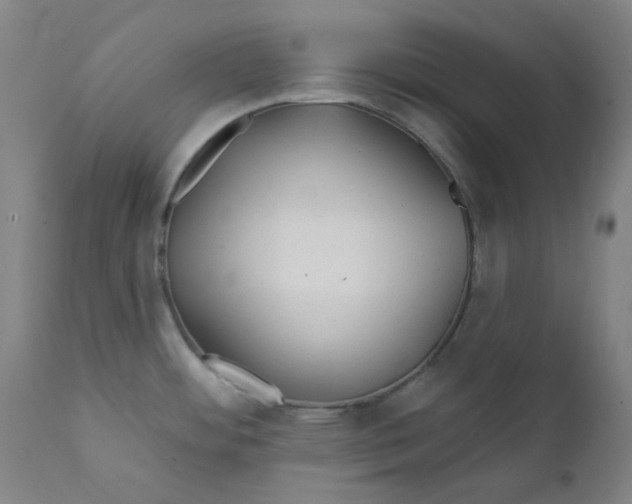 X0000112201484200909041305