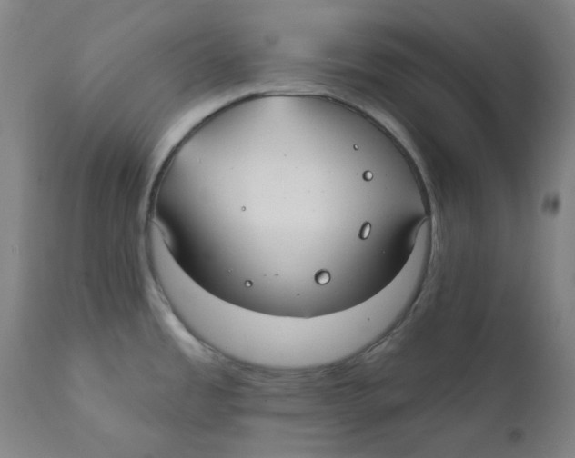 X0000112201485200909041305