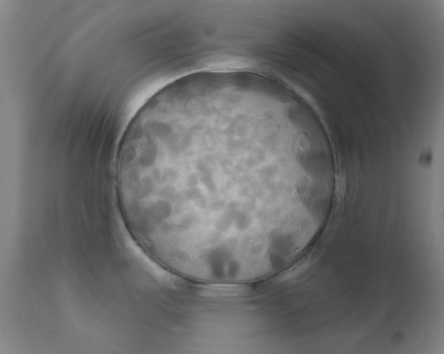 X0000112201487200909041305