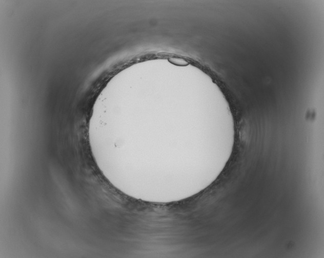 X0000112201495200909041305