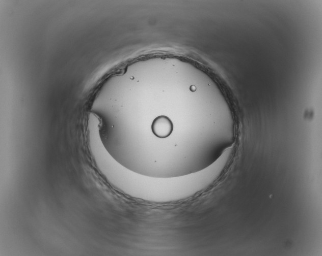 X0000112201496200909041305