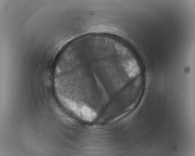 X0000112201497200909041305