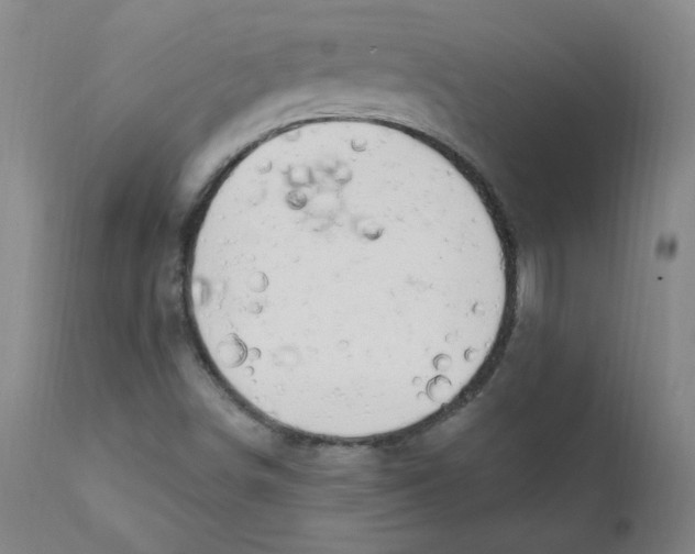 X0000112201498200909041305