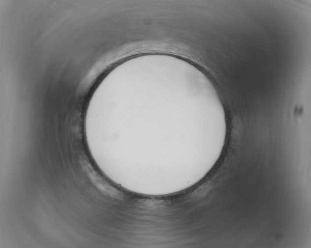 X0000112201499200909041305