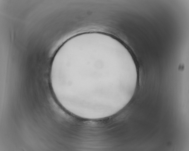 X0000112201500200909041305