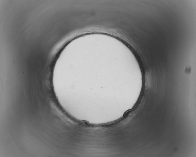 X0000112201502200909041305
