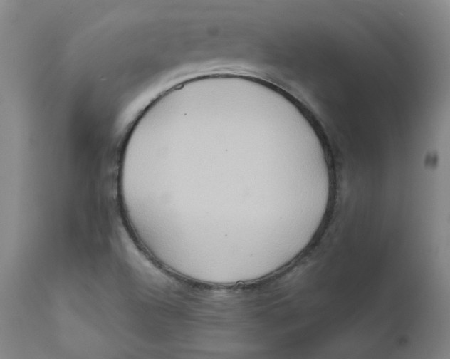 X0000112201504200909041305