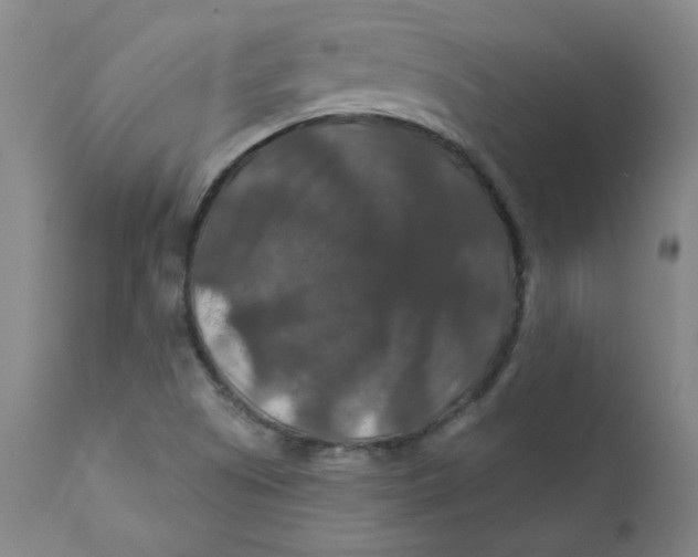 X0000112201505200909041305