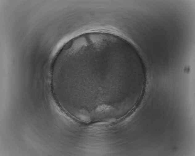 X0000112201506200909041305