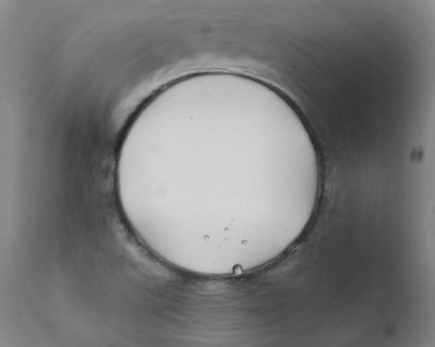 X0000112201507200909041305