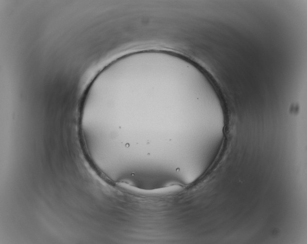 X0000112201508200909041305