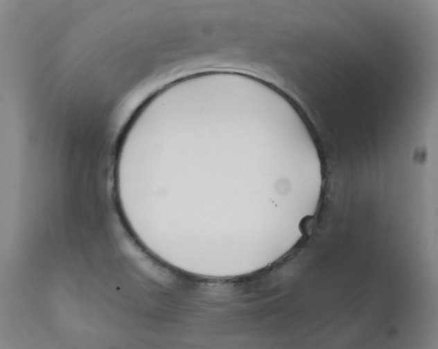 X0000112201511200909041305