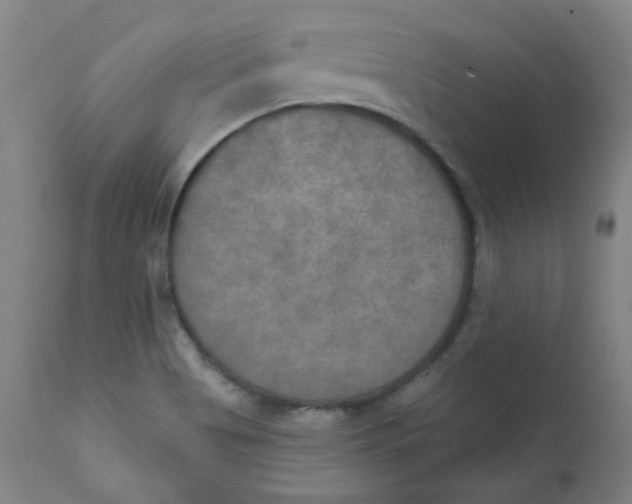 X0000112201513200909041305