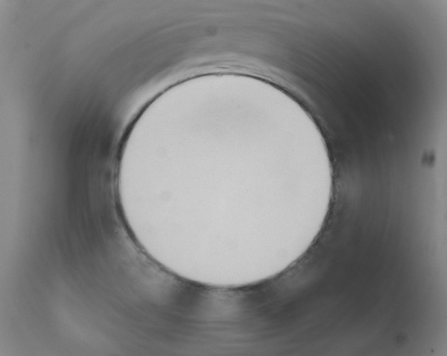 X0000112201514200909041305