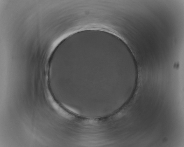 X0000112201515200909041305