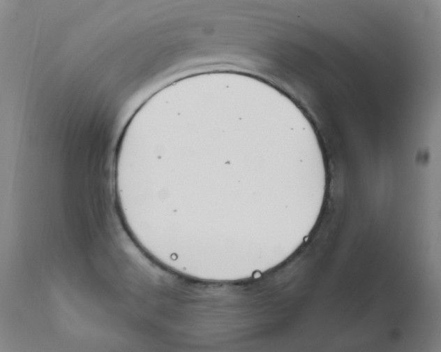 X0000112201516200909041305