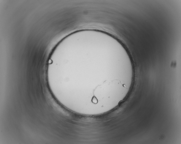 X0000112201517200909041305