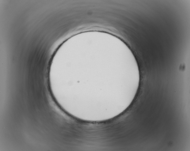 X0000112201518200909041305
