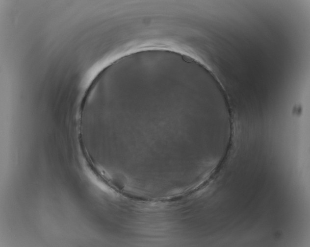 X0000112201519200909041305