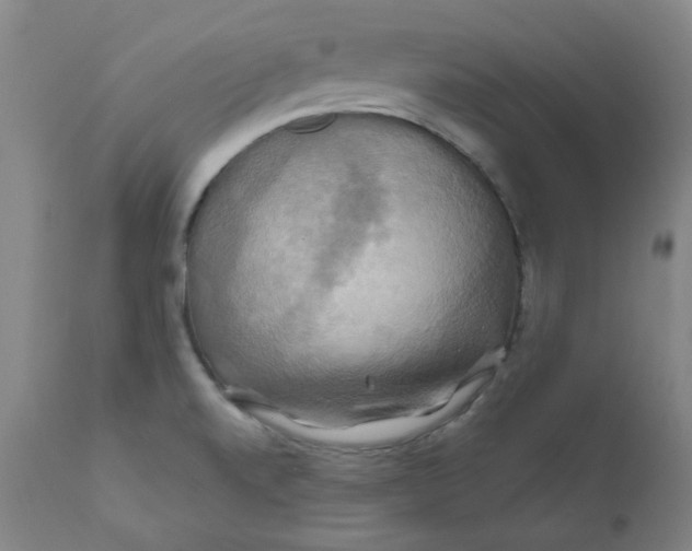 X0000112201520200909041305