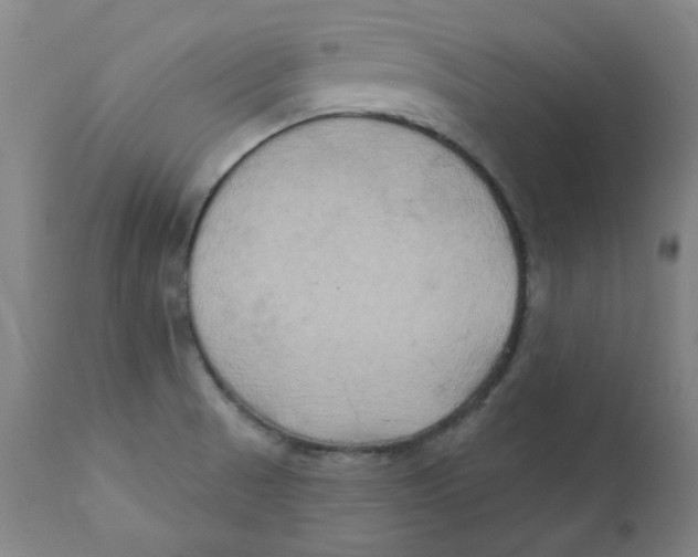 X0000112201521200909041305