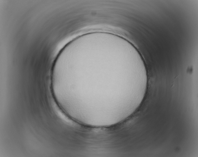 X0000112201523200909041305