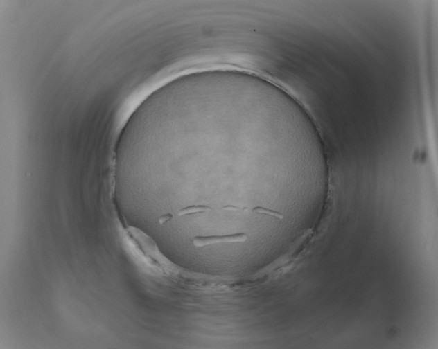 X0000112201524200909041305